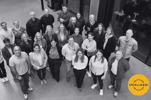 snjallraedi-teymi2025